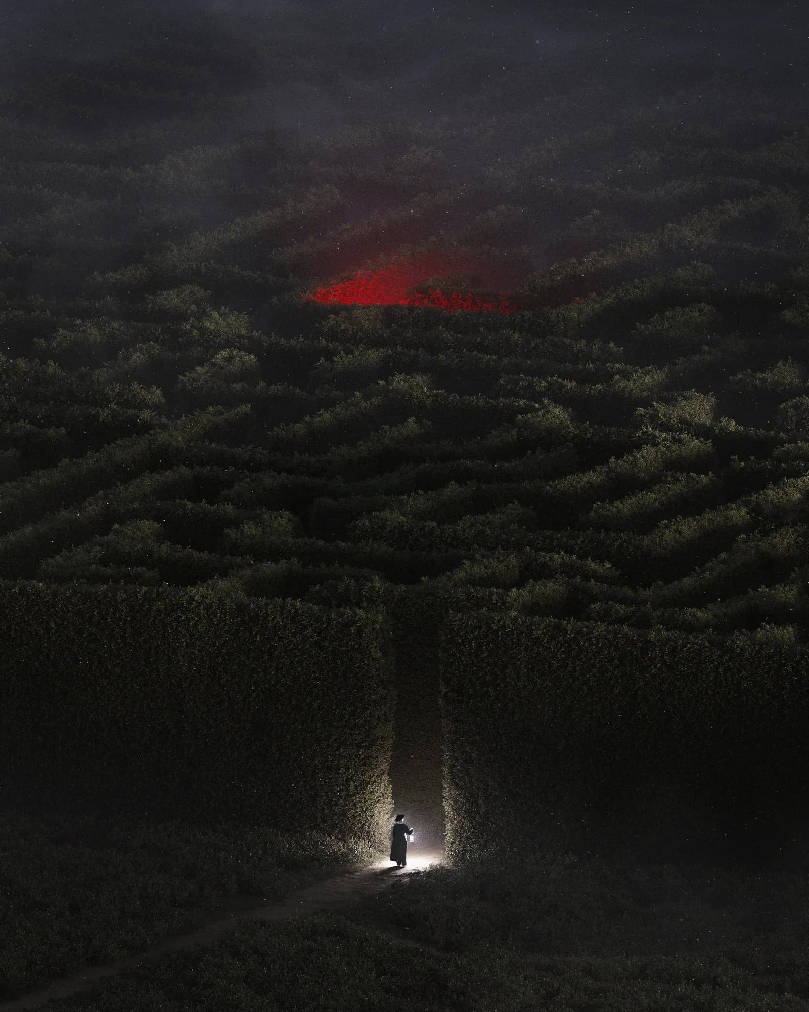 into the obscure