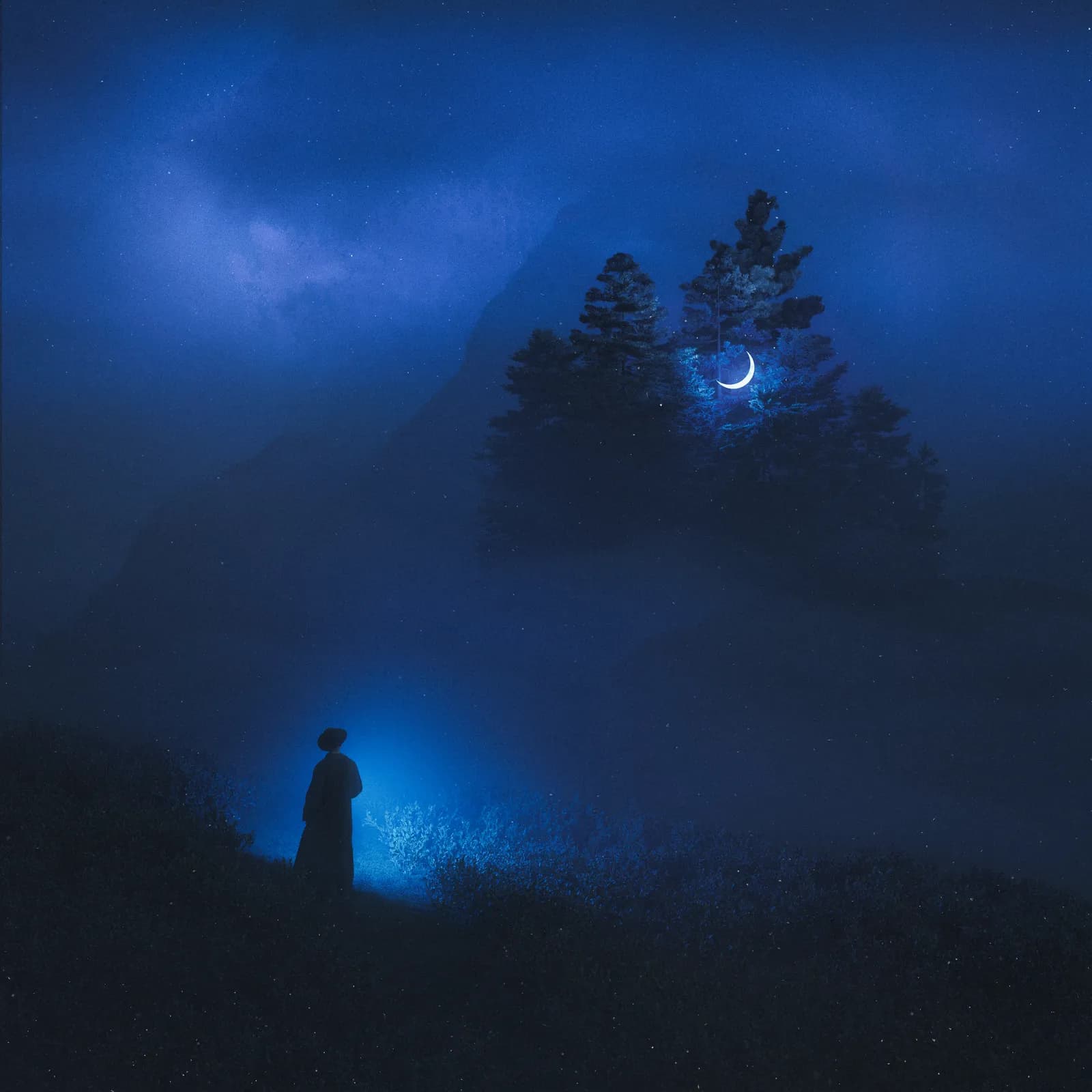 where the moon sleeps