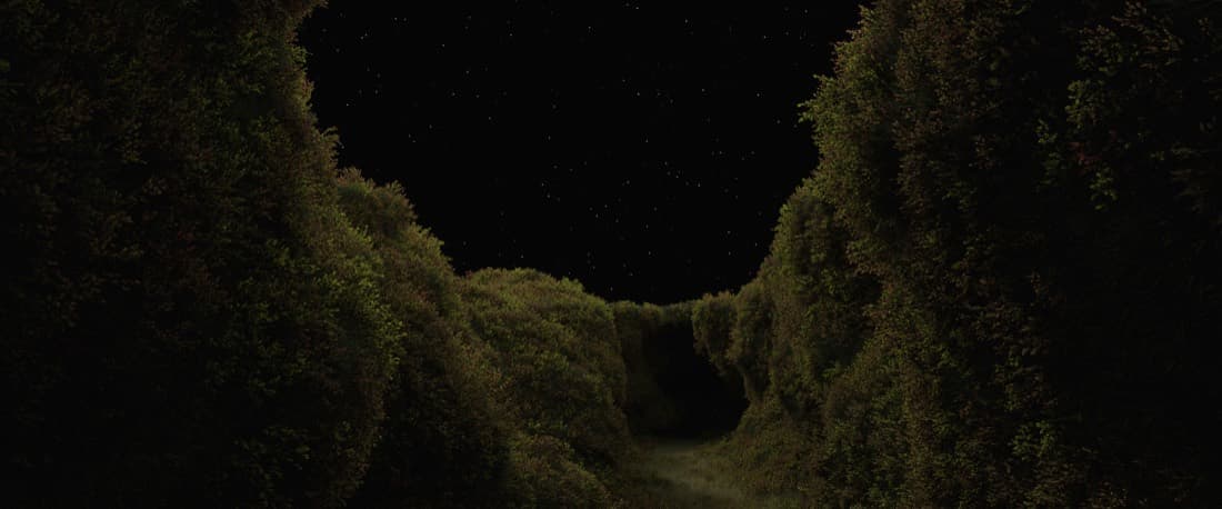 Into The Maw, a frame from the film