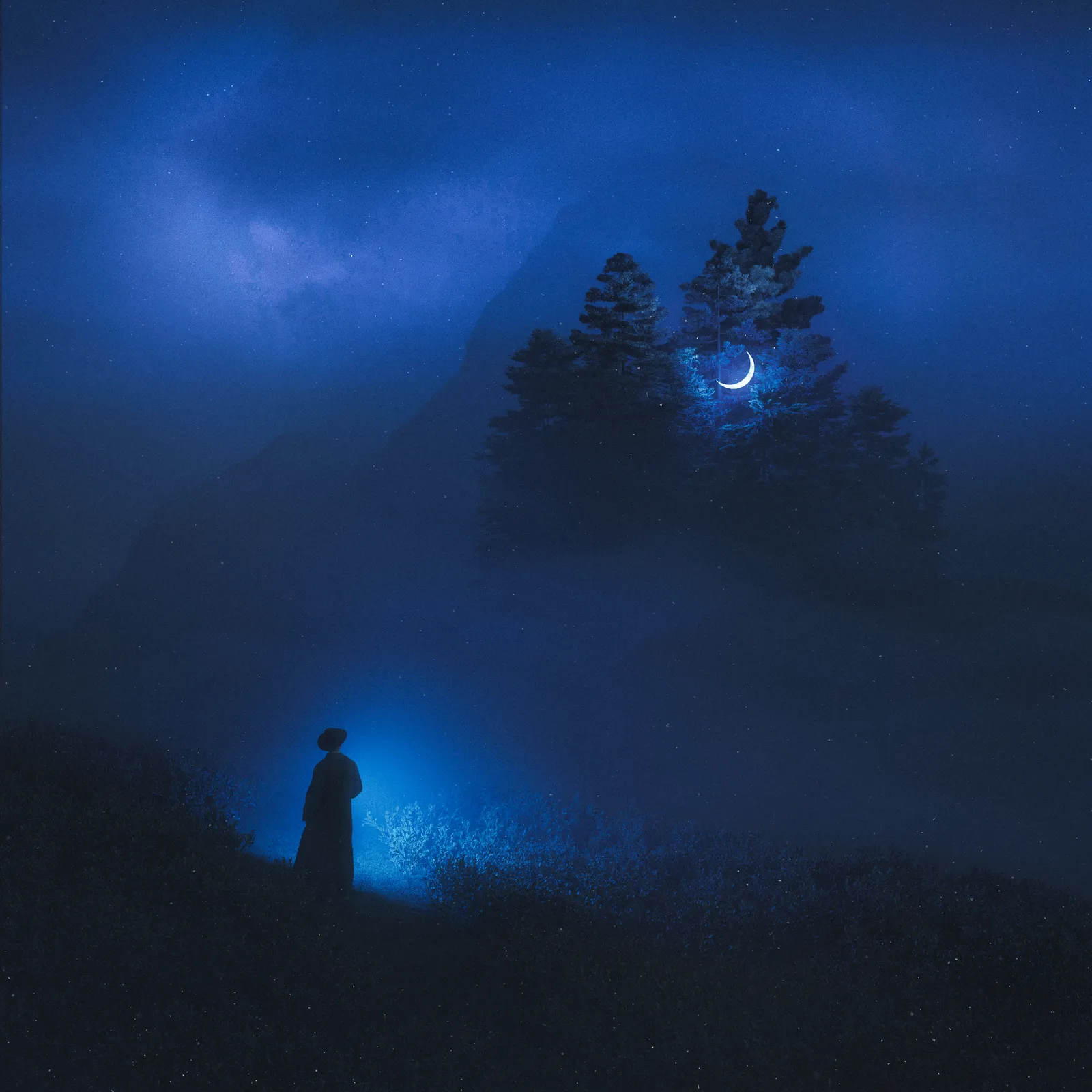 where the moon sleeps
