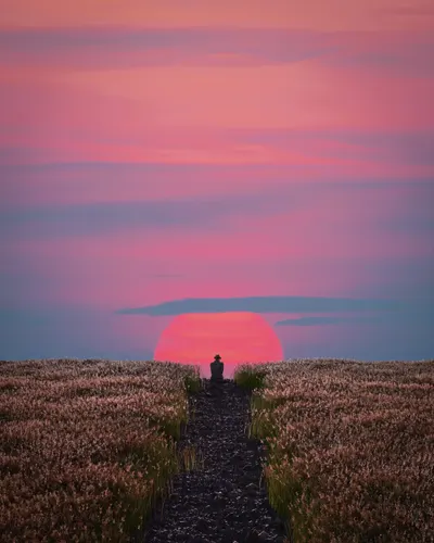 an evening in the sunset