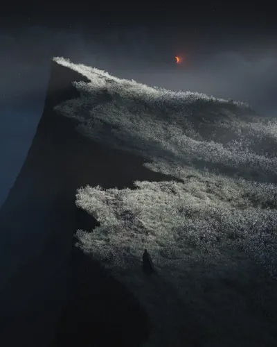 echoes from the fog
