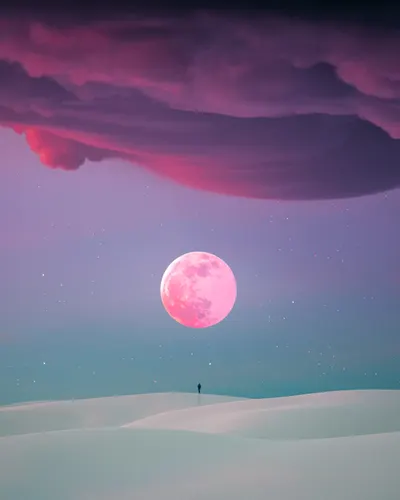 The Eternal Walk #13