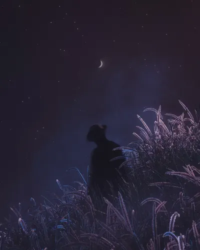 the silhouette that wears me