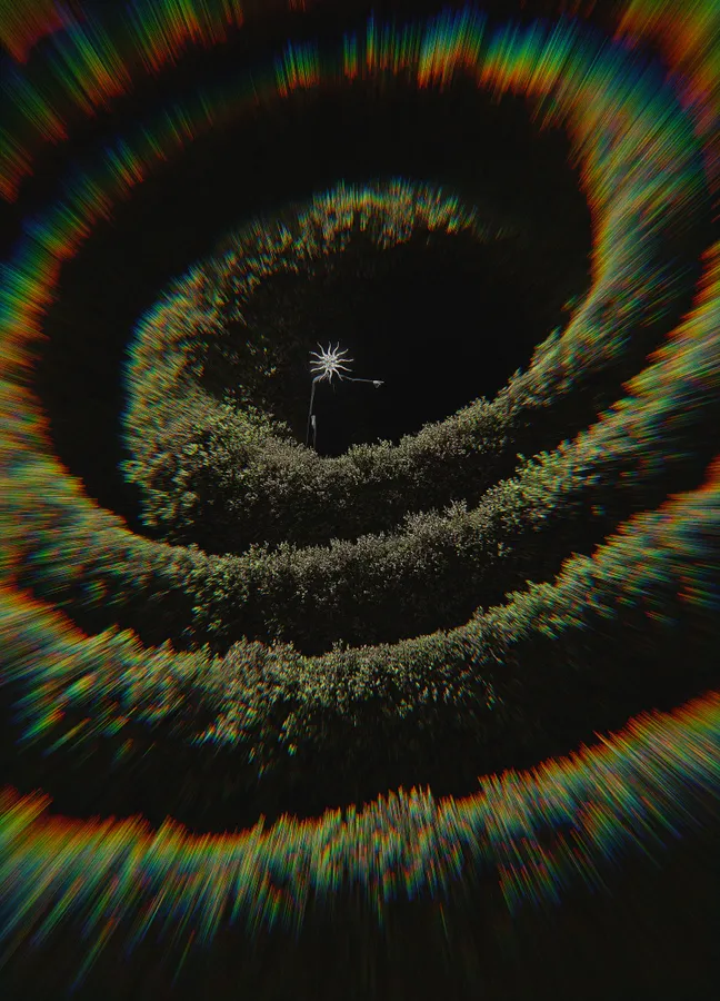 Aporia